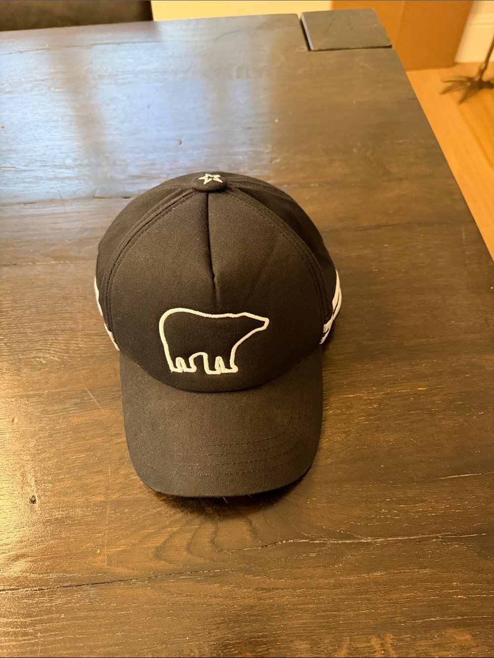 Perfect Moment Baseball Cap with White Bear